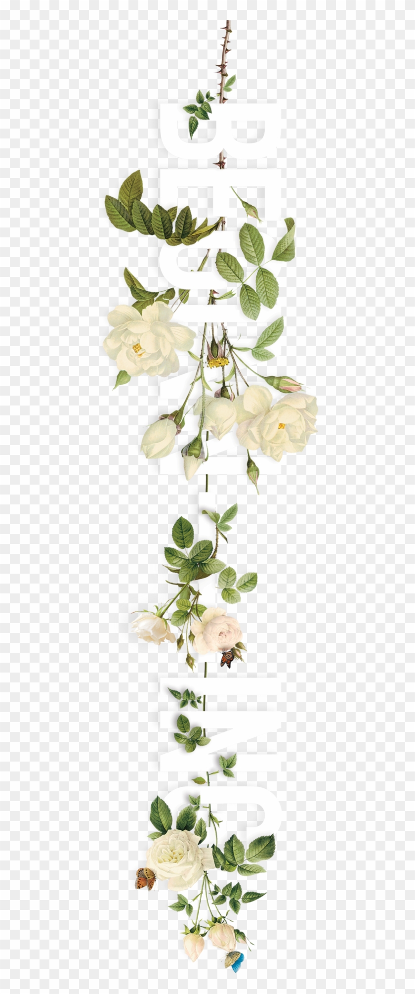 Explore Flower Typography, 3d Typography, And More - One Touch Of Nature Rolled Canvas Art - Amy Cummings #324252