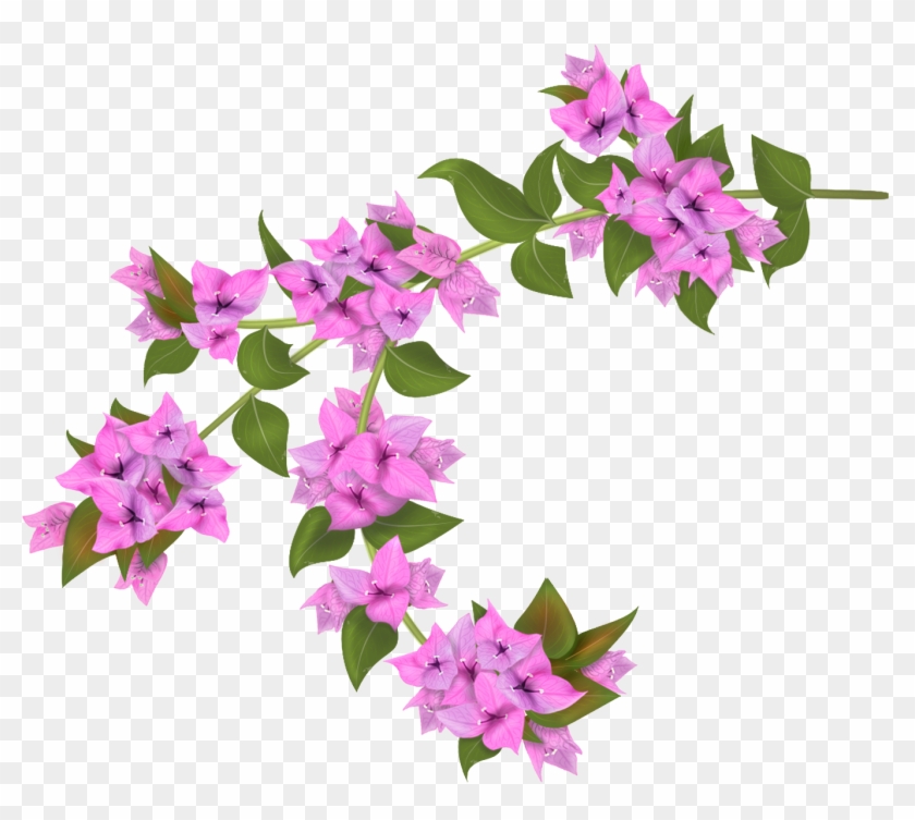 Flowers, Painting Illoustrator, Png File - Bougainvillea Vector Png #324308