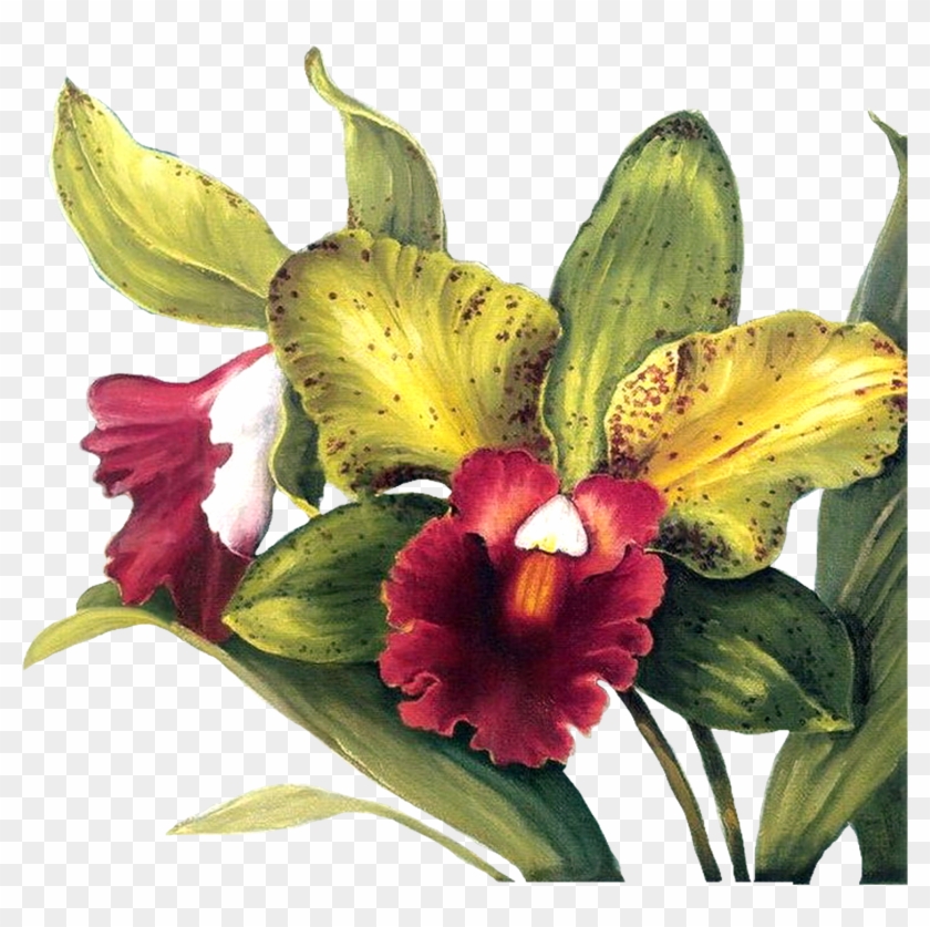 Decoupage Flower, Flower Painting, Flower Painting - Lisa Audit - Full Orchid Duo I No Longer In Print - #324344