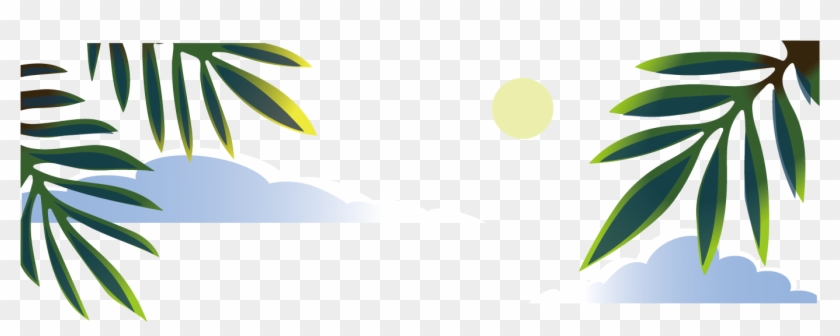 Coconut Euclidean Vector - Coconut Euclidean Vector #324533