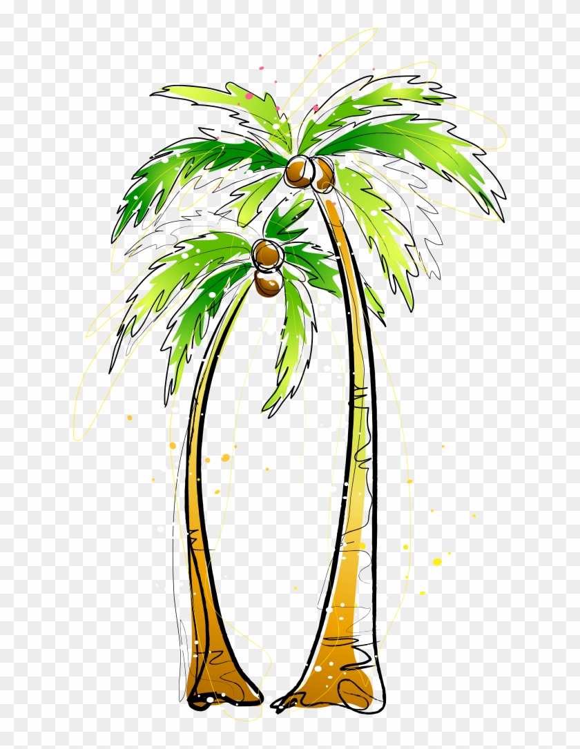 Arecaceae Coconut Painting Illustration - Arecaceae Coconut Painting Illustration #324660
