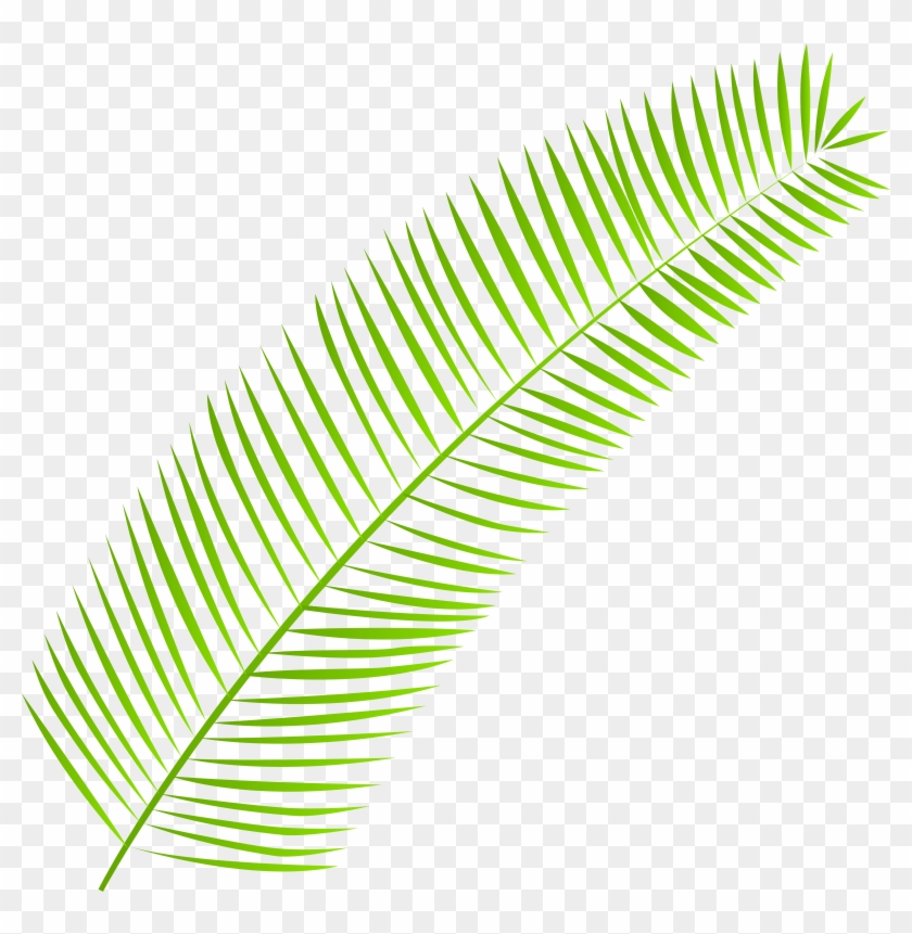 Palm Leaf Png Clip Art - Palm Leaf Png Clip Art #324720