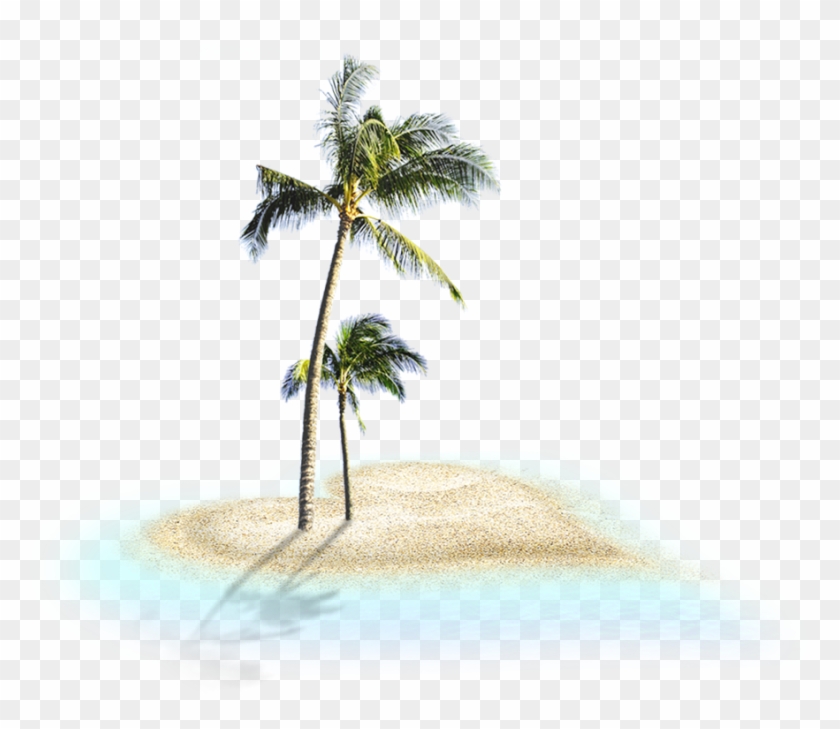 Beach Tree Clip Art - Beach Tree Clip Art #324745