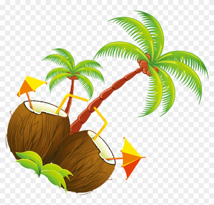 Coconut Tree Illustration - Tropical Drinks Shower Curtain #324746
