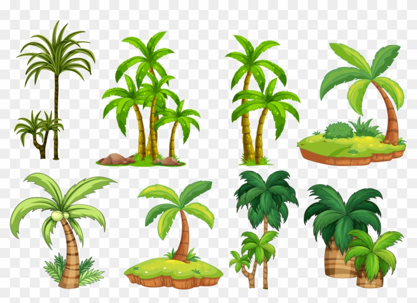 Arecaceae Royalty-free Clip Art - Arecaceae Royalty-free Clip Art #325039