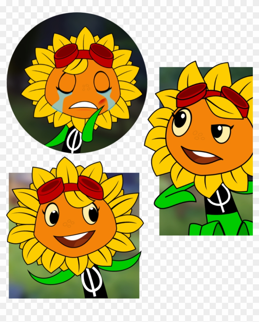 Solar Flare In-game By Ngtth - Plants Vs Zombies Anime Fanart - Free  Transparent PNG Clipart Images Download