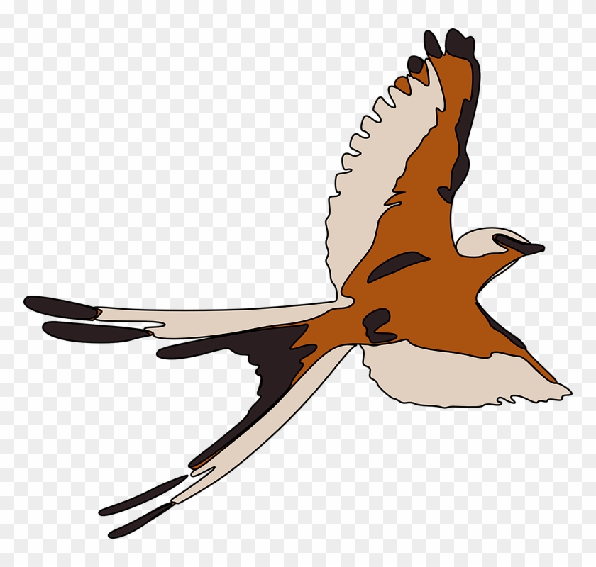Swallow, Martin, Bird, Animal, Fly, Flying, Wings - Ptaki W Locie Clipart #325032