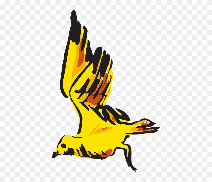 Yellow, Bird, Flying, Wings, Art, Animal, Feathers - Bird #325034