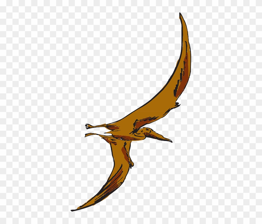 Bird, Flying, Wings, Dinosaur, Ancient - Pterodactyl Png #325050