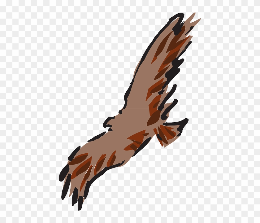 Brown, Bird, Flying, Wings, Art, Animal, Feathers, - Art #325065