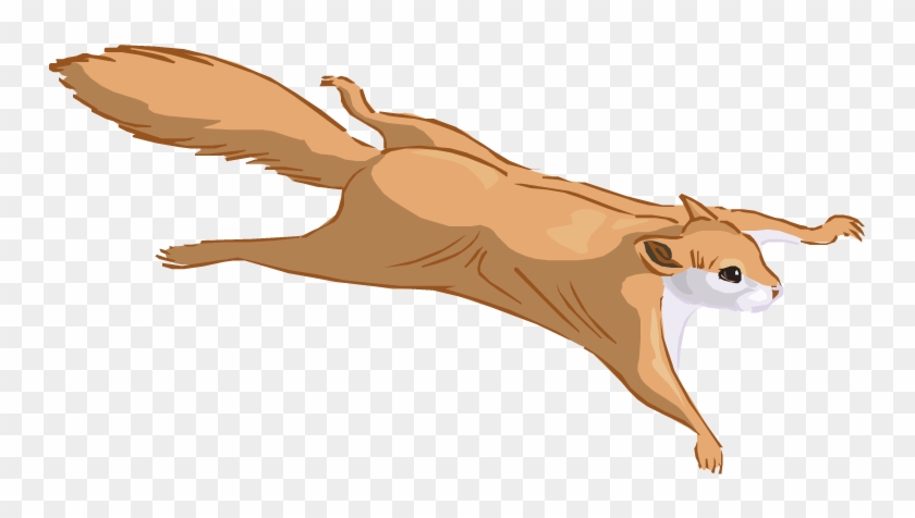 Flying Squirrel Clipart Wing - Flying Squirrel Clipart #325078