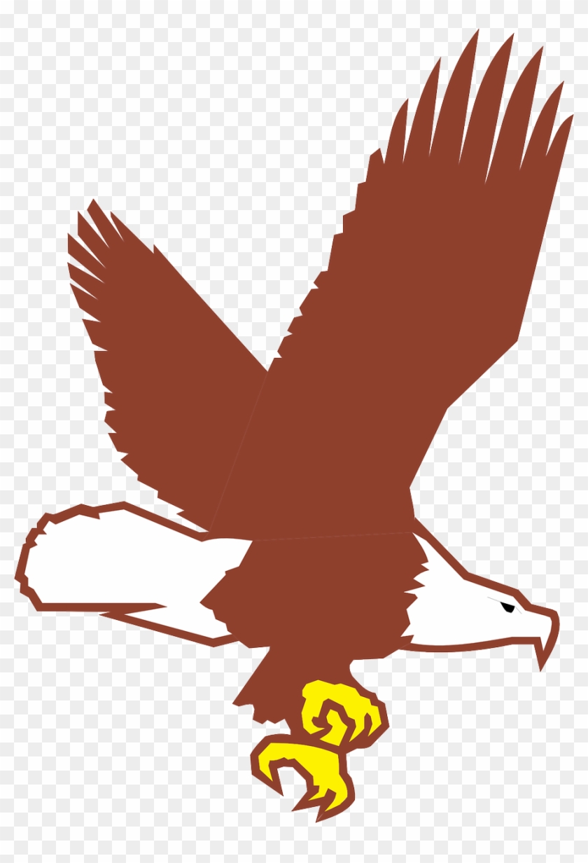 Eagle Bird Flying Wings Bald Png Image - Bald Eagle Flying Cartoon #325084