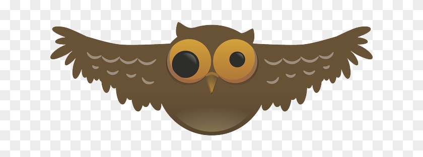 Owl, Weird, Bird, Nocturnal, Pupil, Wide, Flying, Wings - Cartoon Owl Png #325159