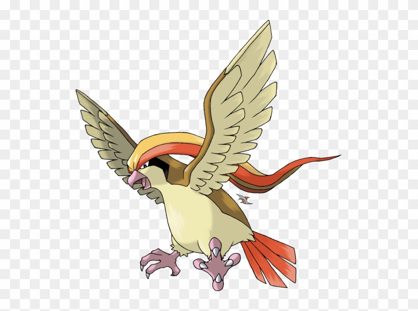 Pidgeot Can Fly At Mach 2, Twice The Speed Of Garchomp - Pidgeot Png #325176