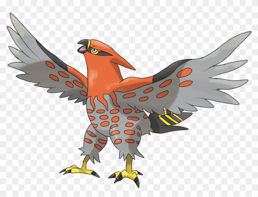 Talonflame Discussion Thread - Fire Flying Type Pokemon #325245