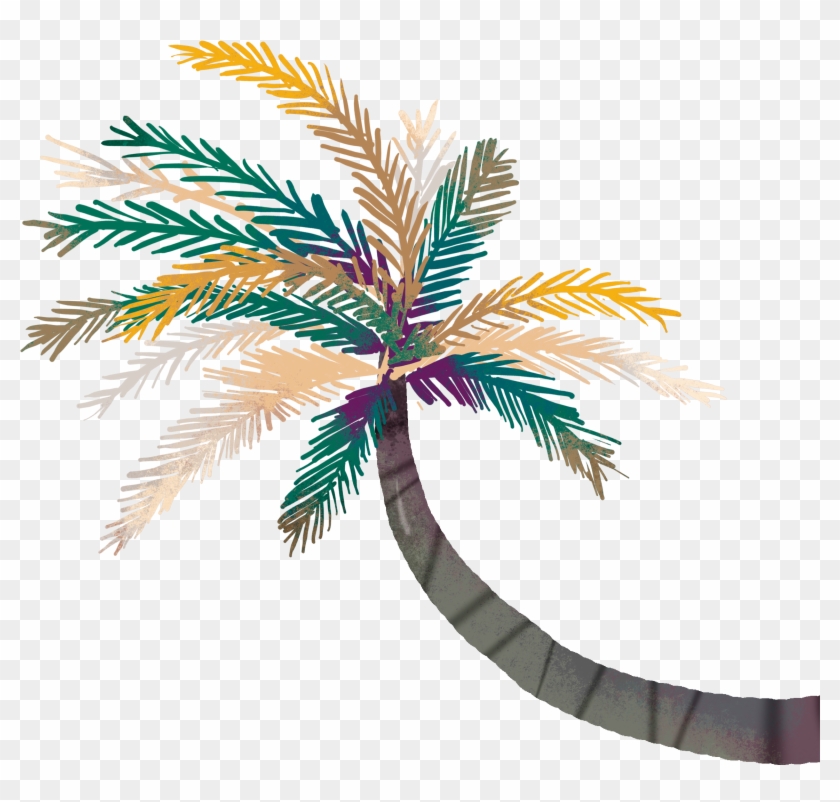 Arecaceae Clip Art - Arecaceae Clip Art #325659