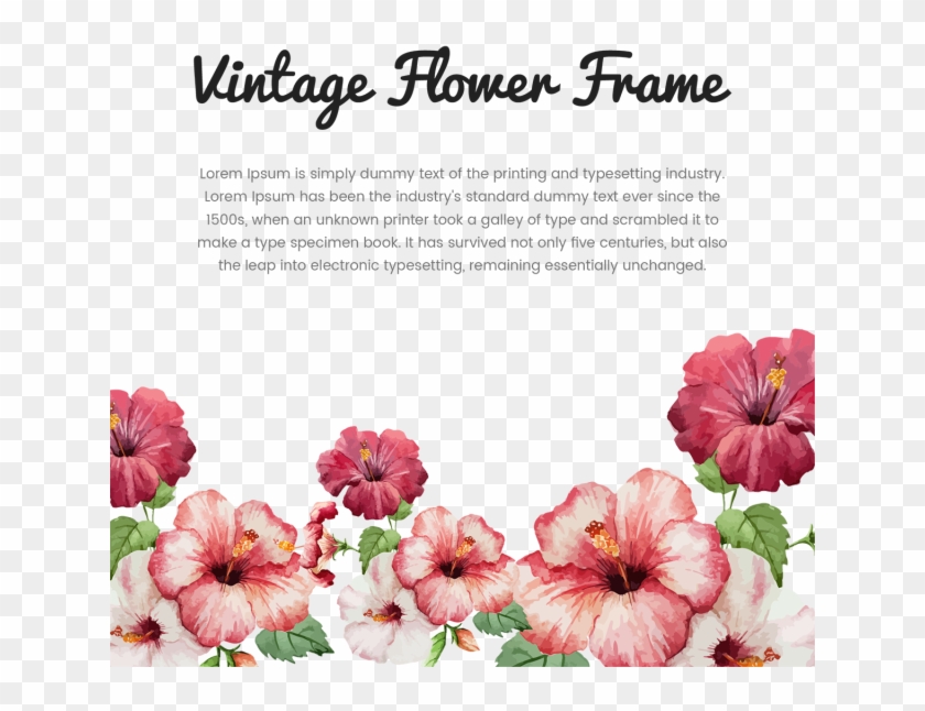 Vintage Flower Frame With Typography, Vintage, Flower, - Hibiscus Flower Drawing #325439