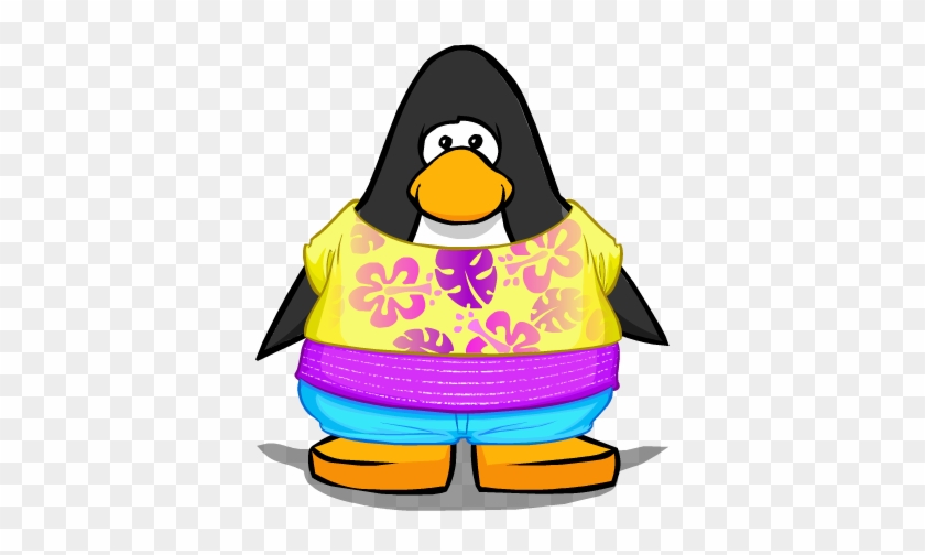 Endless Summer Outfit From A Player Card - Club Penguin #325806