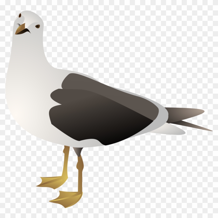 Clipart Seagull - Gull Clip Art #325821