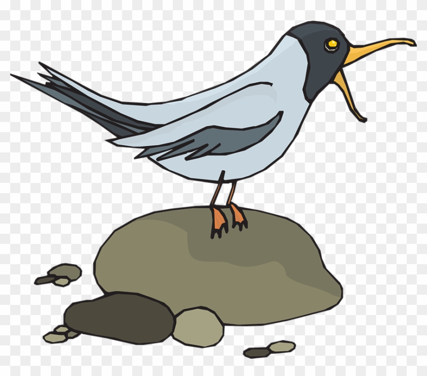 Seagull Clipart Feather - Screech Clipart #325829