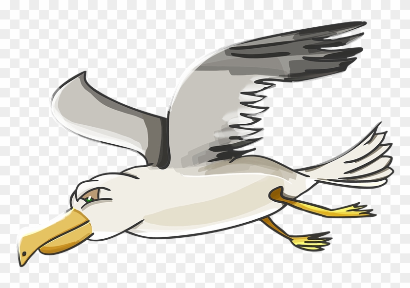 Seagull Clipart Albatross - Swaddling #325836