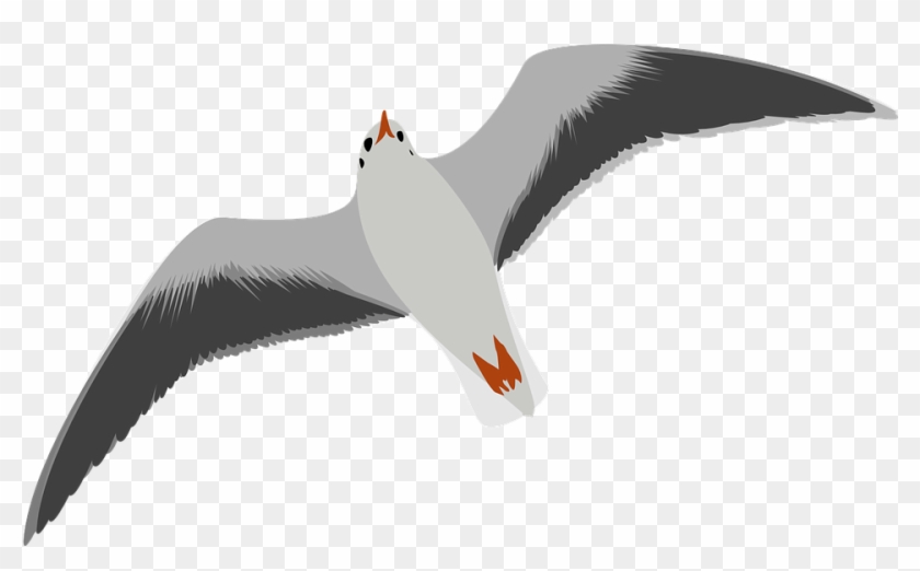 Seagull Clipart Bird Fly - Seagull Clipart #325848