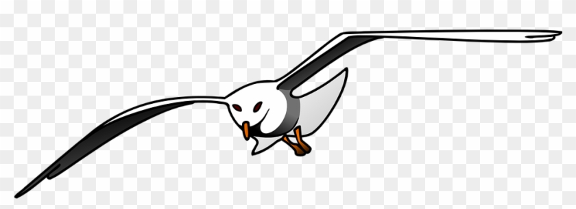 Seagull Clipart Bird Fly - Seagull Clipart #325855