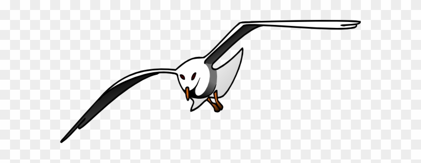 Albatross - Clipart - Seagull Clipart #325858
