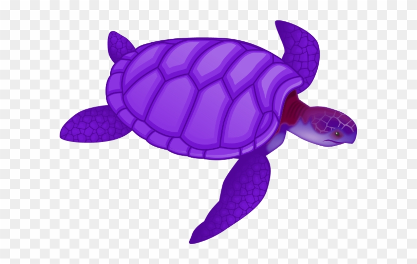 Neon Sea Turtle Clip Art #326285