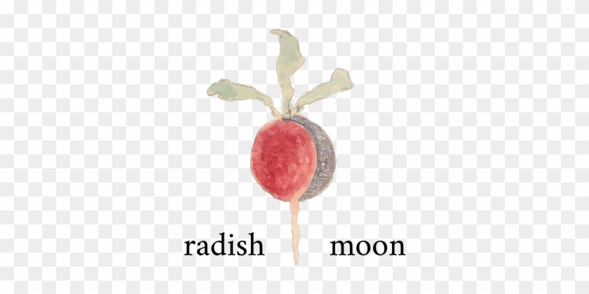 Radish Moon #326288