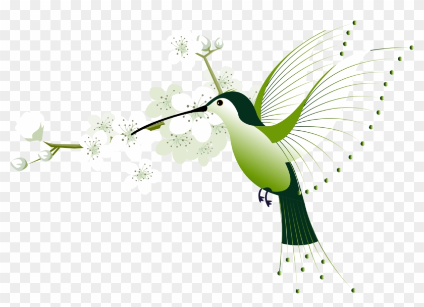 Hummingbird Euclidean Vector Flower - Hummingbird Euclidean Vector Flower #326347