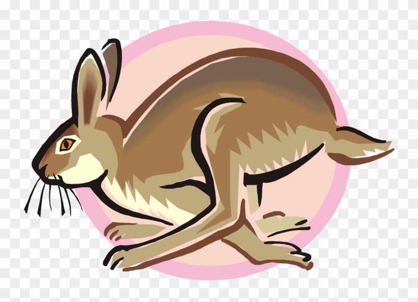 Free Rabbit Clipart Png - Jack Rabbit Clipart #326552