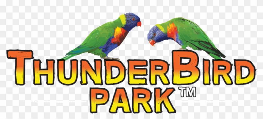 Thunderbird Park Logo #326969