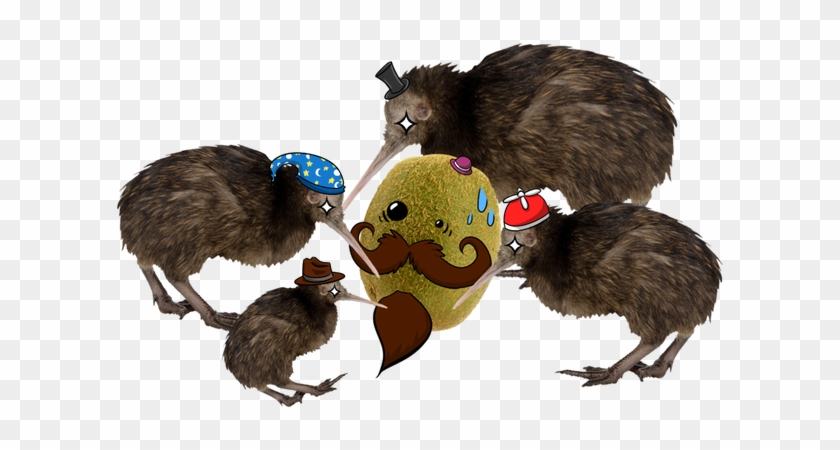 Kiwi Hat Is All About Delivering High Quality Kiwis - Rat #327394
