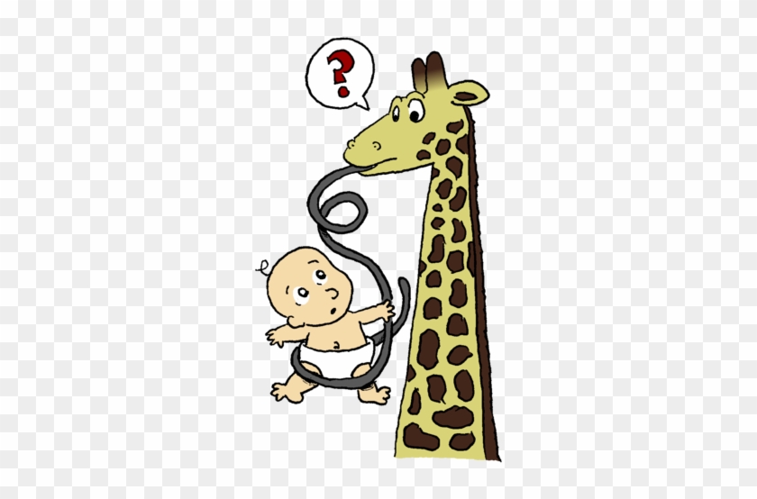 A Giraffe Sticks Out A Very, Very Long Tongue, Which - Giraffe #327397