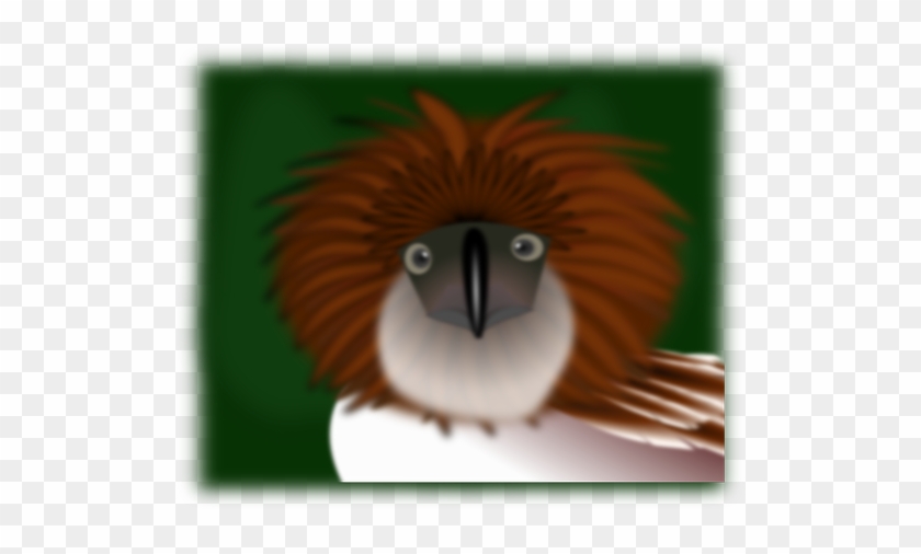 Animal Kiwi, Bird, Eagle, Philippines, Animal - Philippine Eagle Cartoon #327463