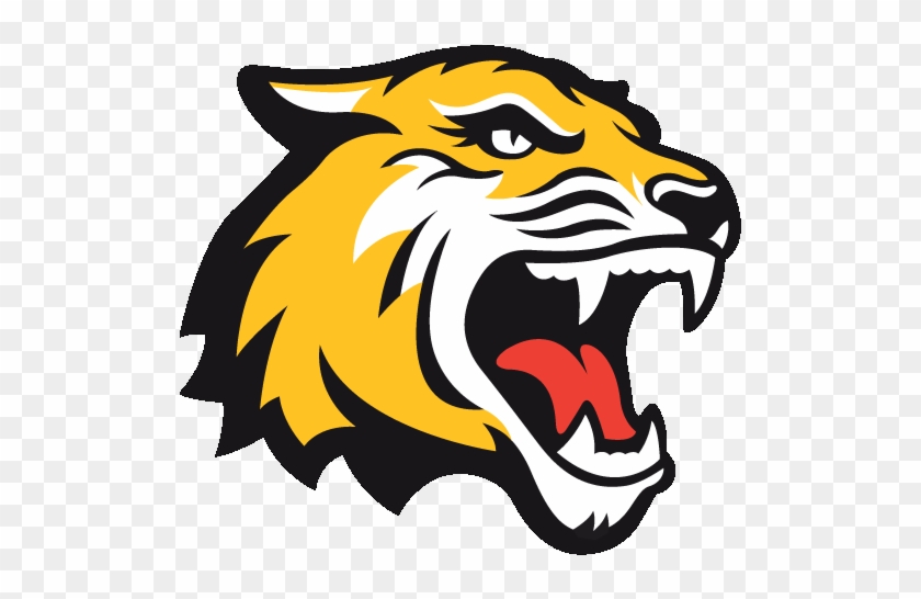 Golden Triangle With Tigers - Rochester Institute Of Technology #327475
