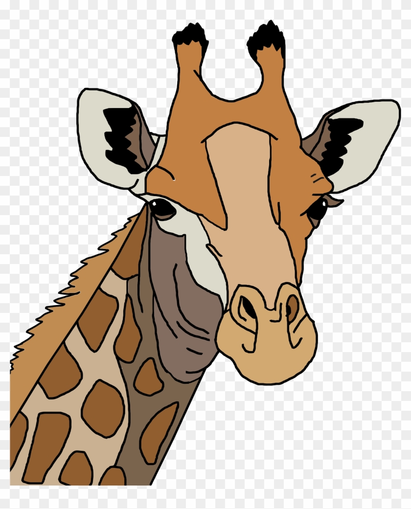 Cartoon Giraffe Face - Colored Giraffe Icon #327511