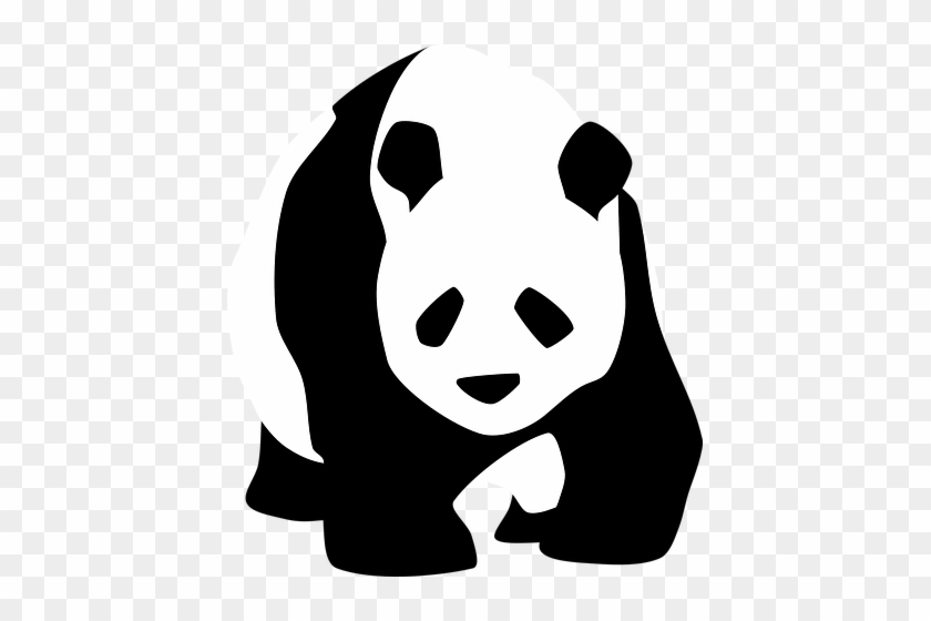 Panda, Walking, Face - Panda Black And White #327562