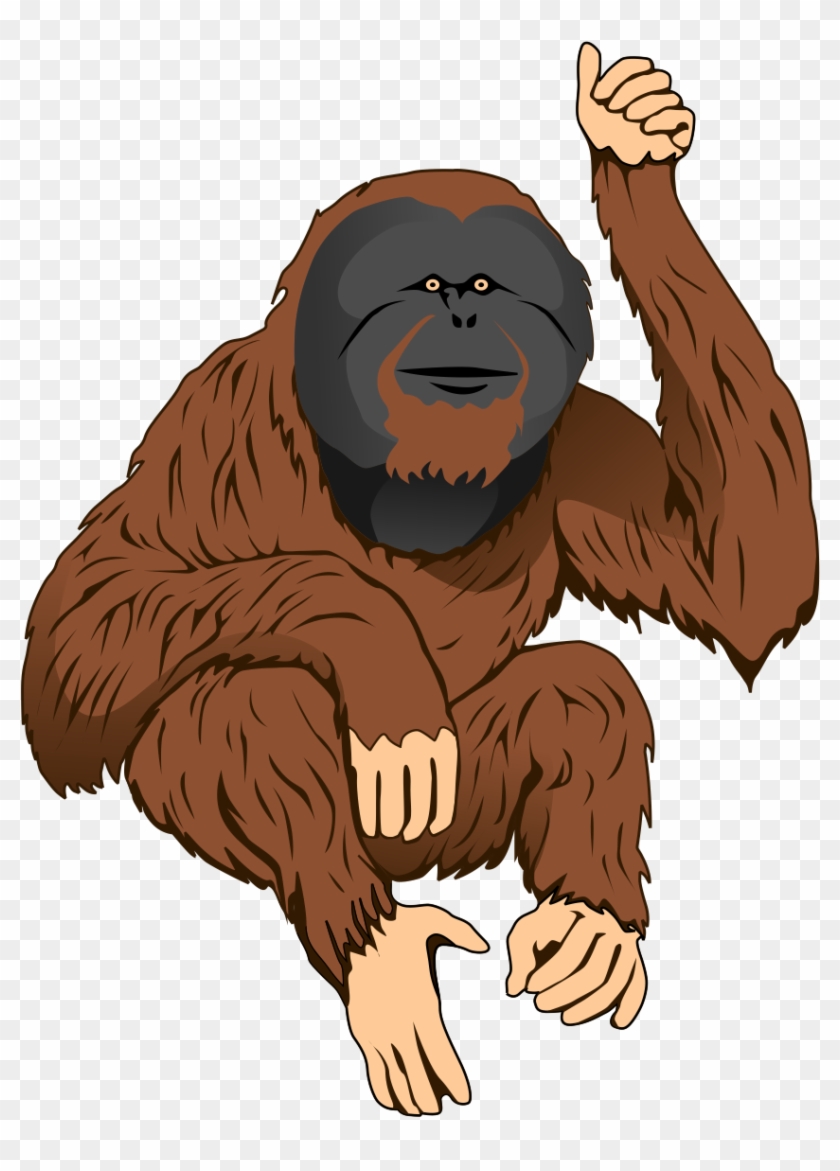 Free Orangutan Clip Art - Orangutan Clipart #327679