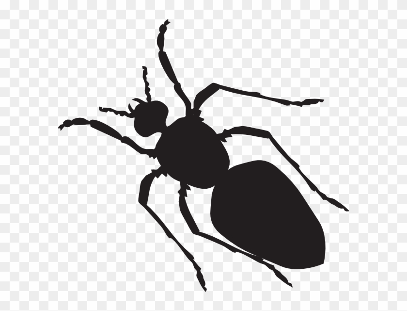 Black Ant Silhouette Clip Art - Ant Body Shape #327801