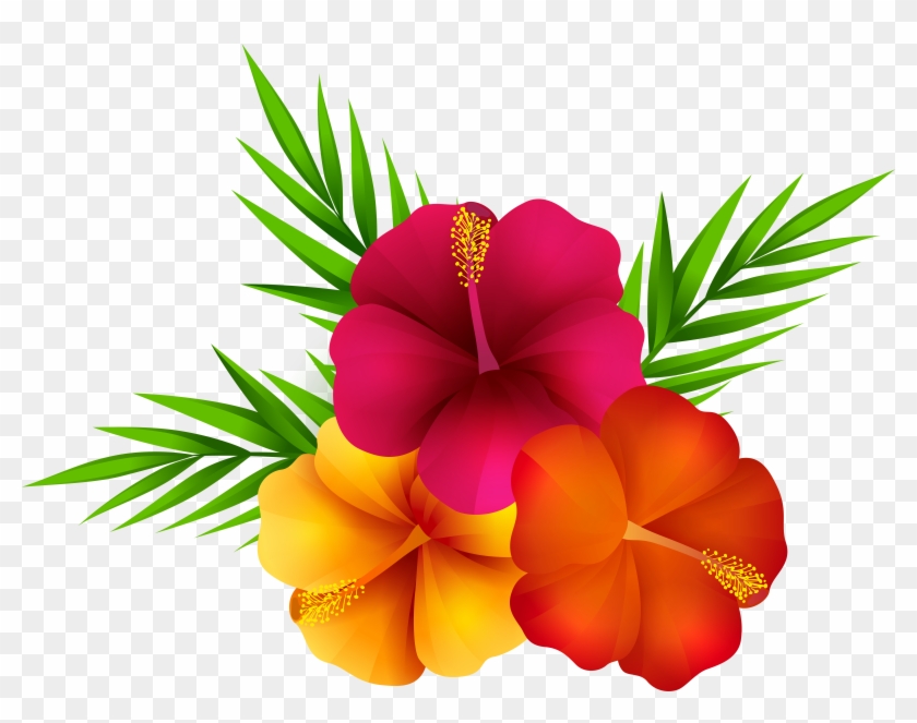 Exotic Flowers Png Clip Art Image - Transparent Background Tropical Flower Png #327896