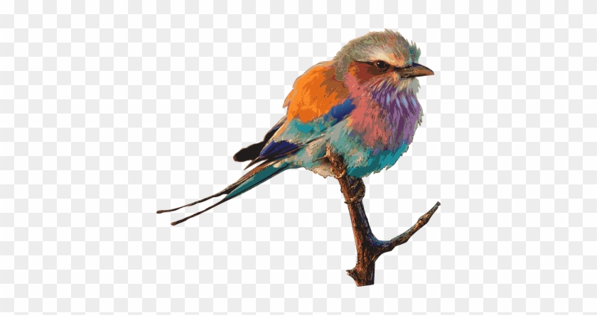 Vintage Vector Car Sepia - Extra Long Fabric Bath Shower Curtain With 12 Hooks #328759