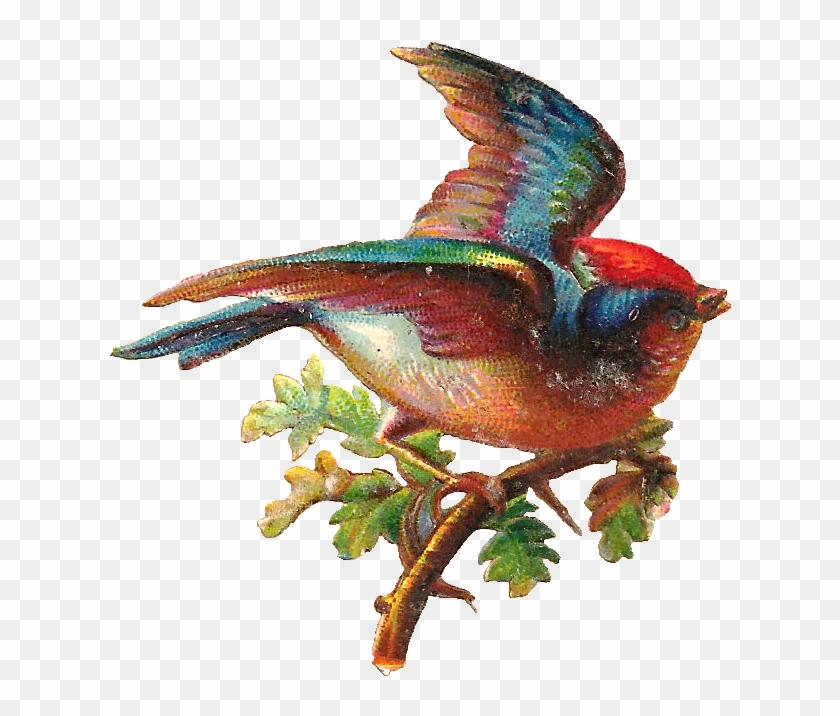 Free Digital Bird Graphic - Pretty Bird Png #328778
