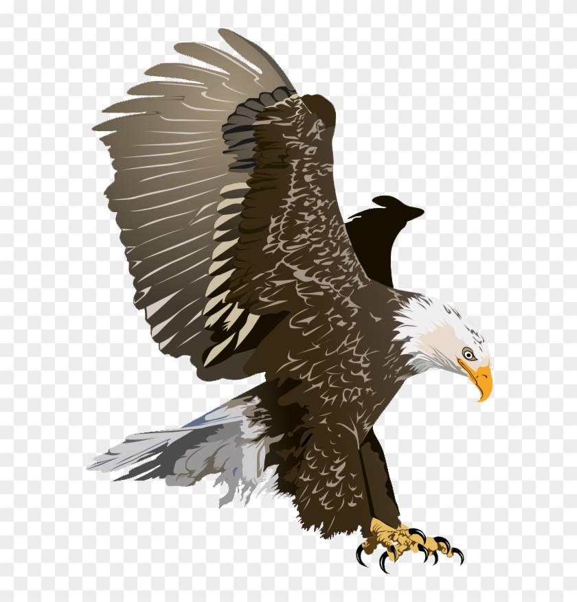 Eagle Free To Use Clipart - Bald Eagle Clip Art #328841