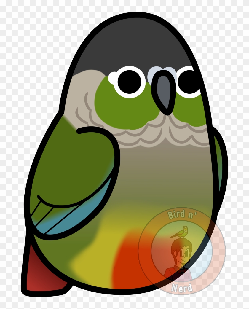 Too Many Birds Green Cheeked Conure By Maddemichael - Too Many Birds Green Cheeked Conure By Maddemichael #328889