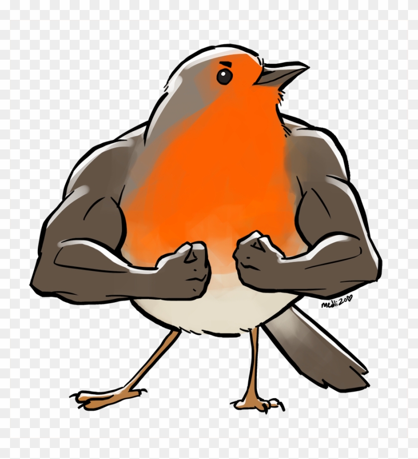 Do You Accept Drawings Of Birds With Arms, Too - Do You Accept Drawings Of Birds With Arms, Too #328912
