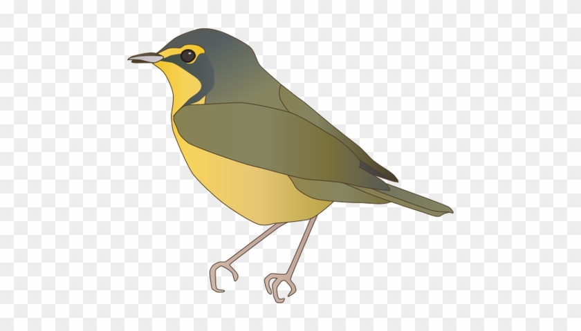 Yellow Warbler Svg - European Robin #328996