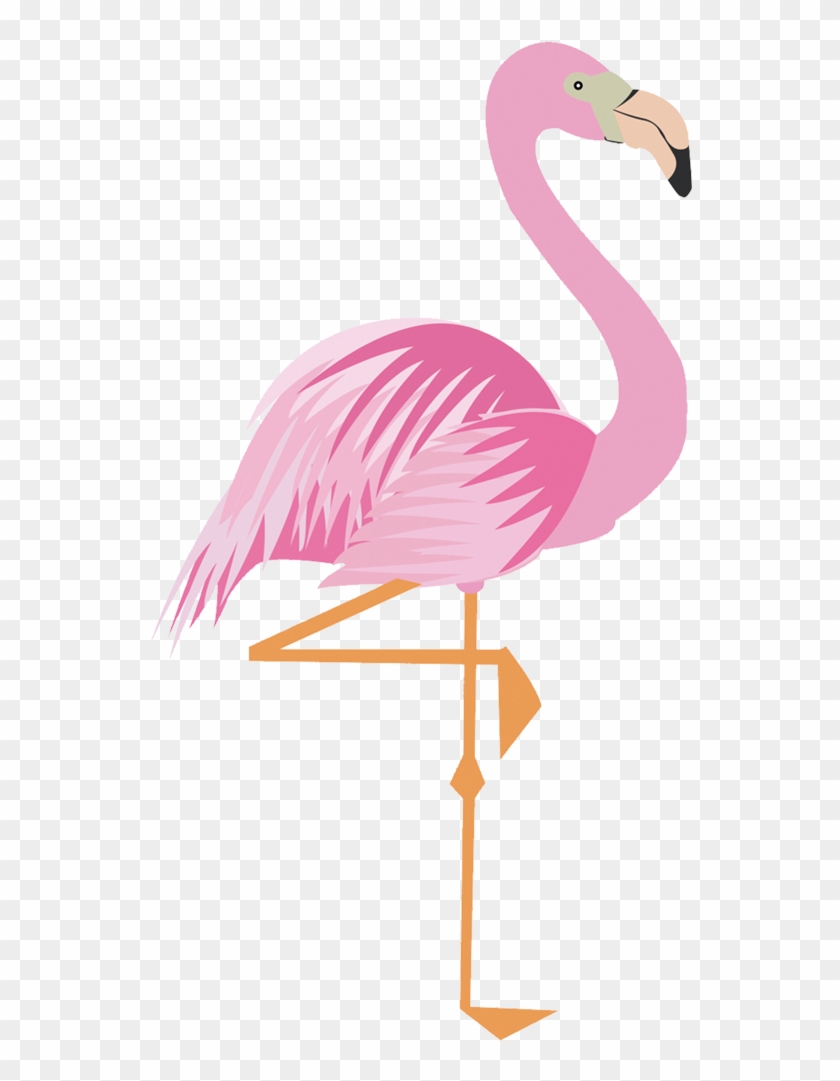 Greater Flamingo Drawing Cartoon - Imagem De Flamingo Para Imprimir #329019