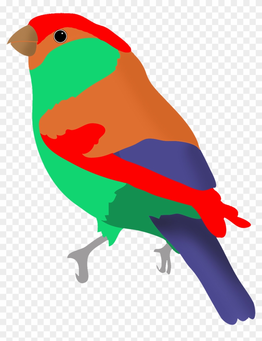 Graasisken Colored - Lovebird #329020
